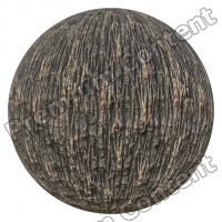 PBR texture wood tree bark 4K